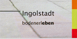 Verein für körper- und mehrfachbehinderte Menschen
